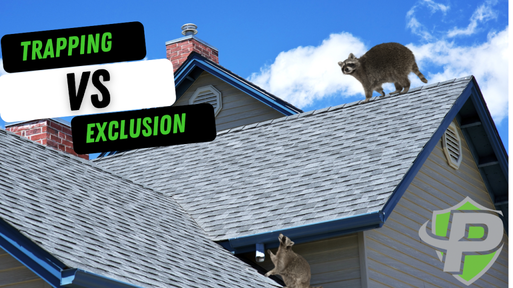 the differences between humane wildlife trapping and exclusion services for raccoons, skunks and squirrels