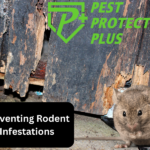 preventing rodent infestations. protect your business in the gta