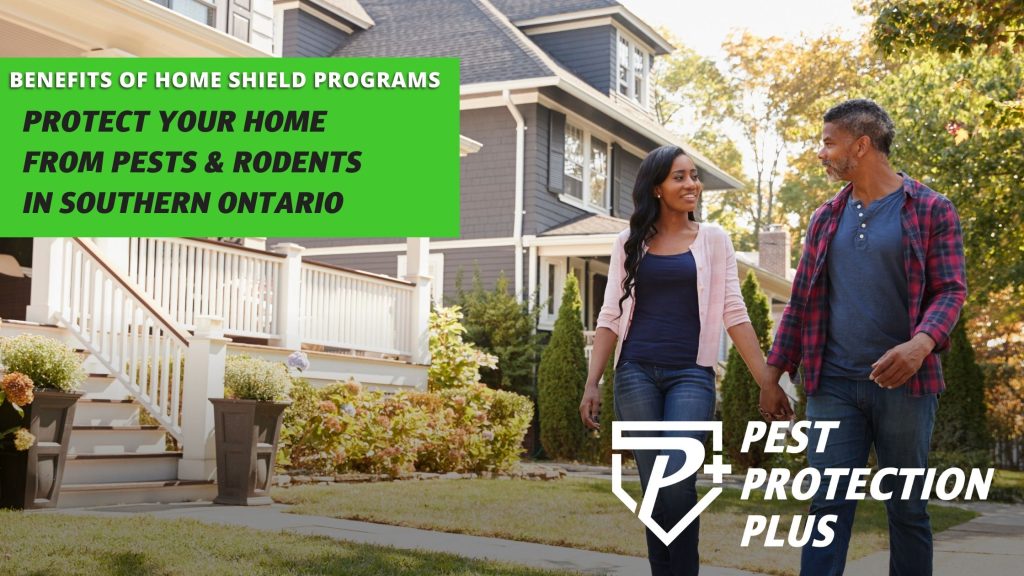 Benefits of home shield programs. Protect your home with pest shield and rodent shield!