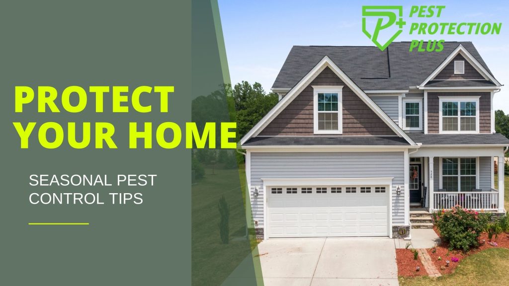 seasonal pest control across the gta