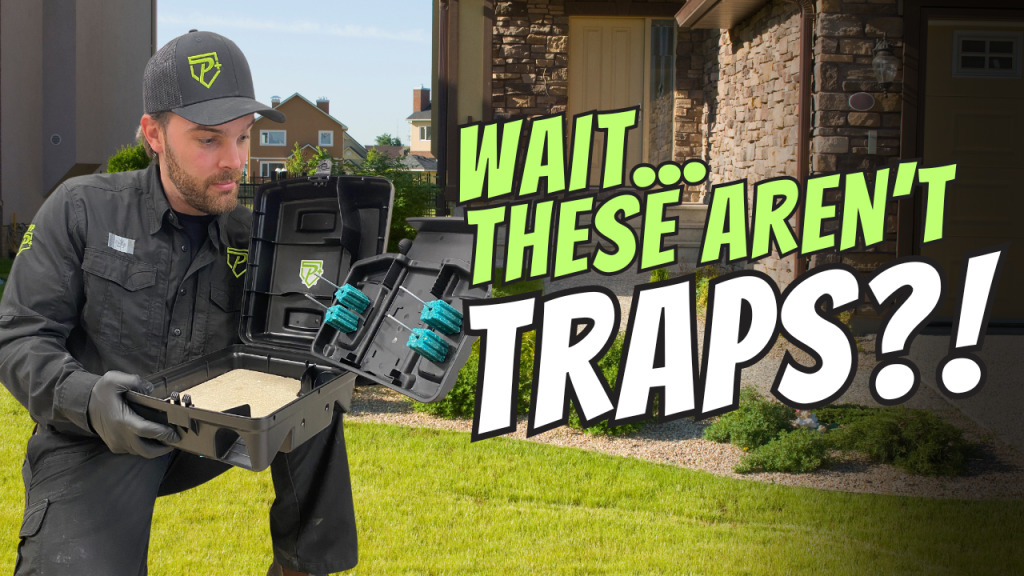 rodent bait stations, the black boxes you see around buildings!