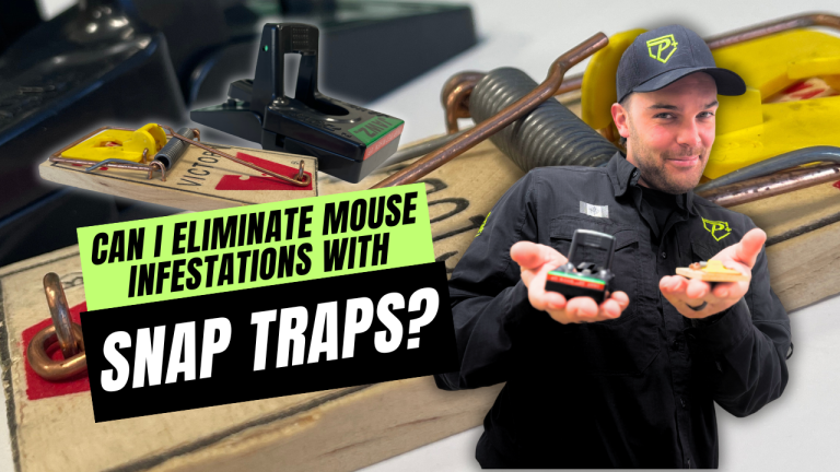 Do Snap Traps Work? - Pest Protection Plus