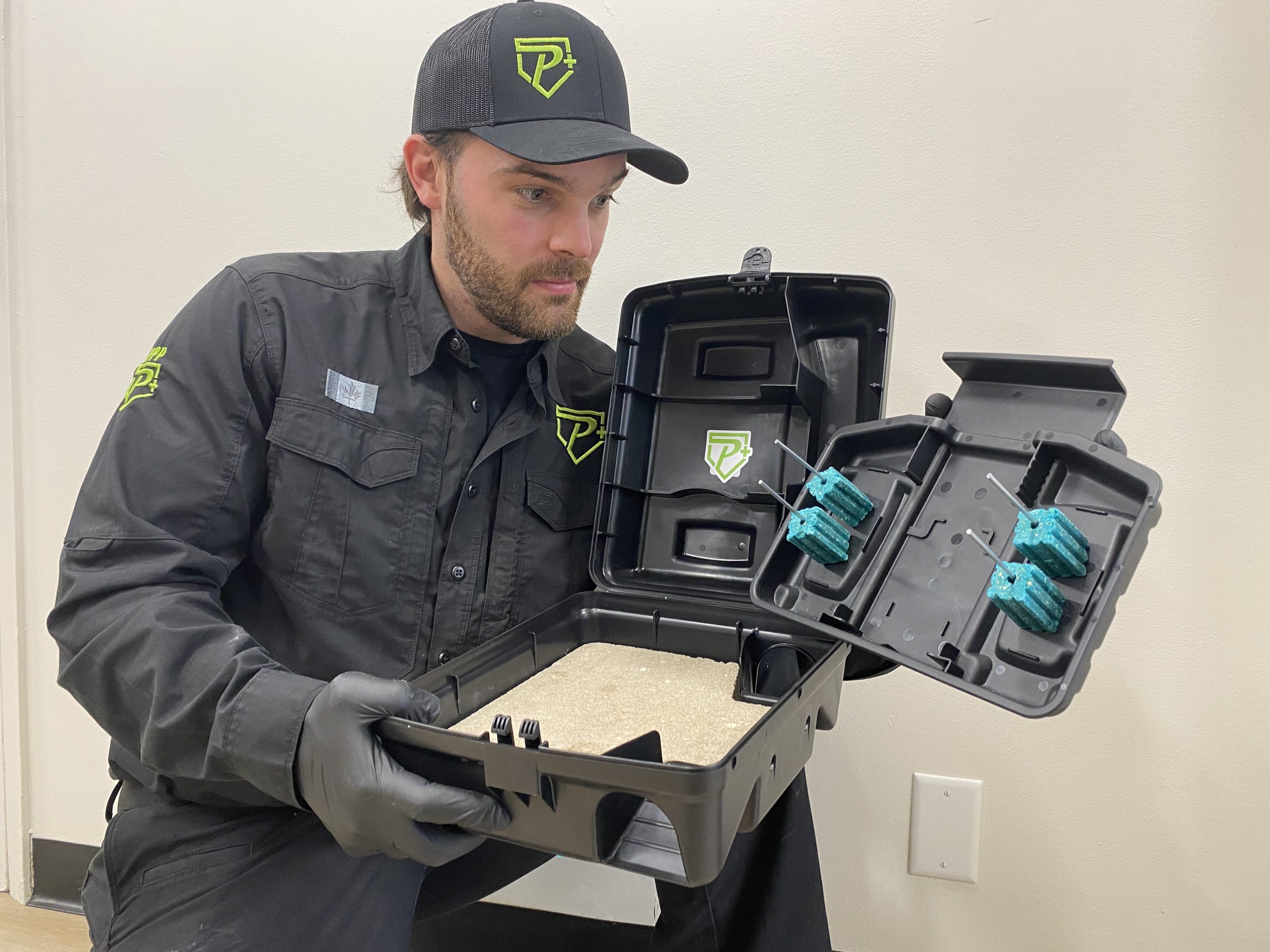 Rat Control Mississaugaprofessional rodent removal services. get rid of rats and mice.