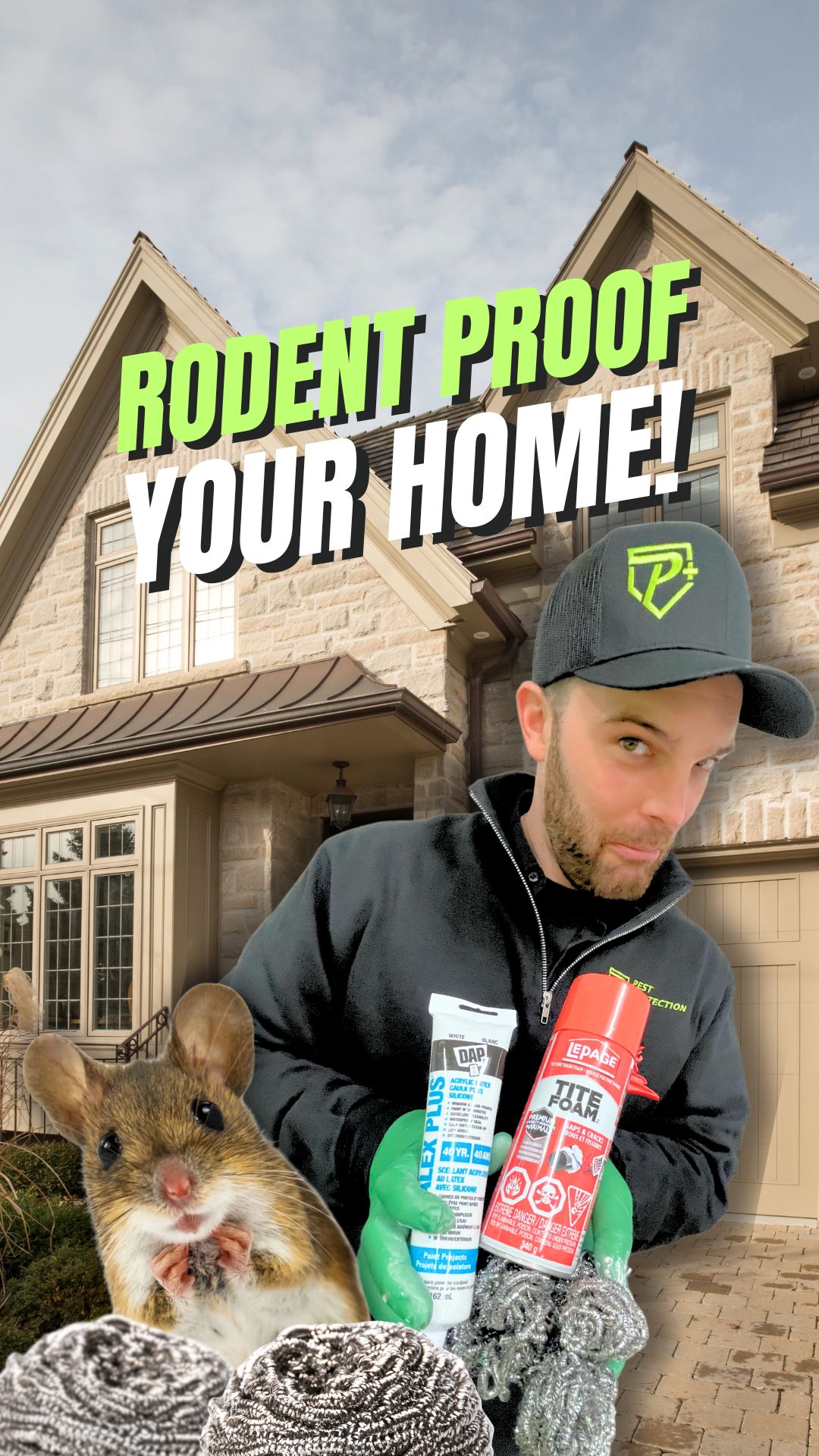 How To Rodent Proof Your Home. helpful tips and what to use!