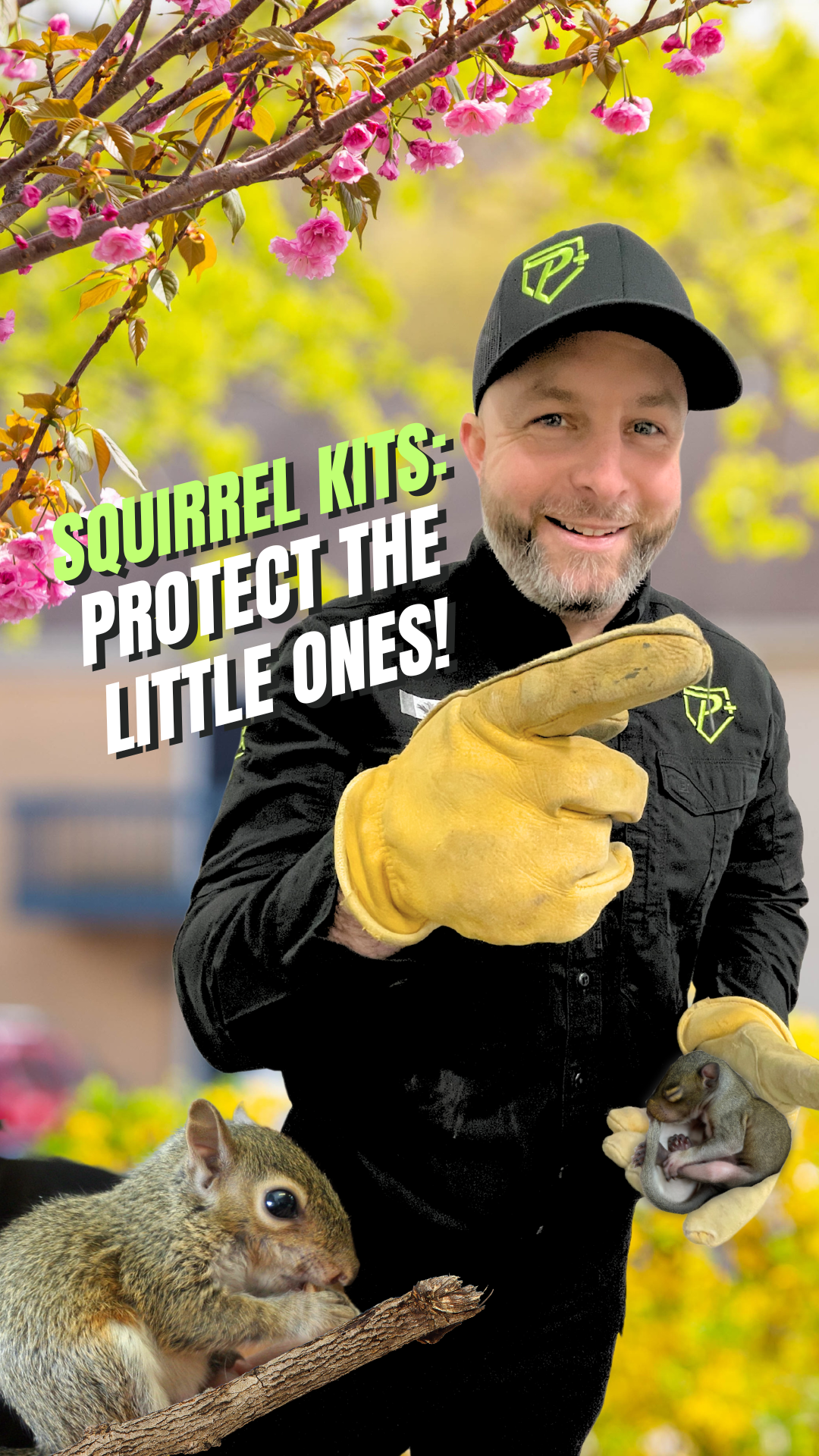 Protect your home from squirrels