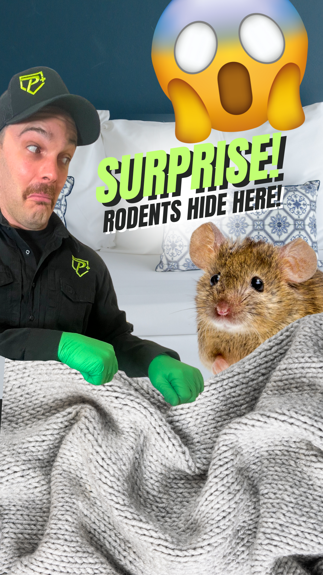 Rodent Control Specialist checks a backyard bait station for signs of rat activity in Southern Ontario.